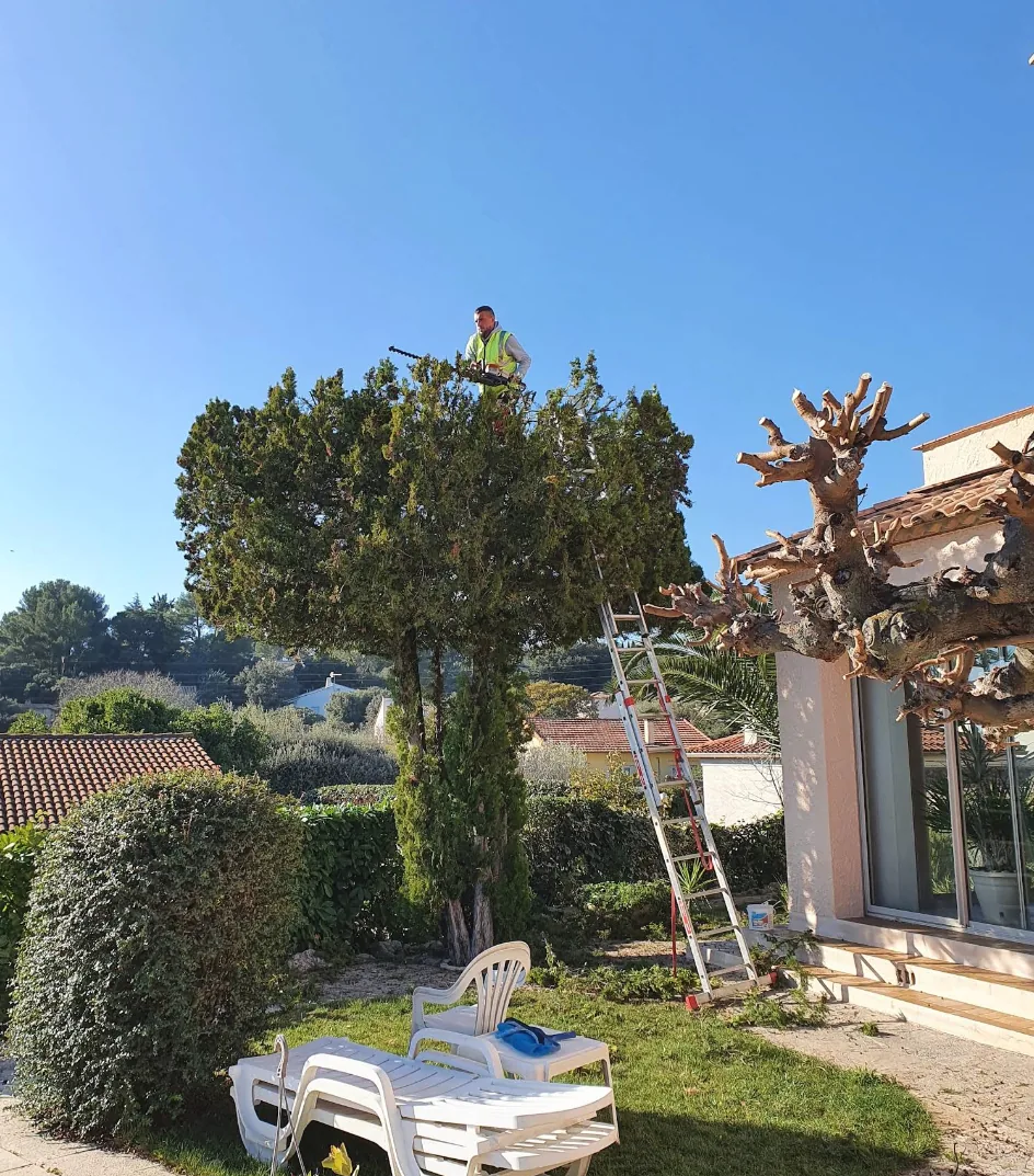 Intervention dans un pin