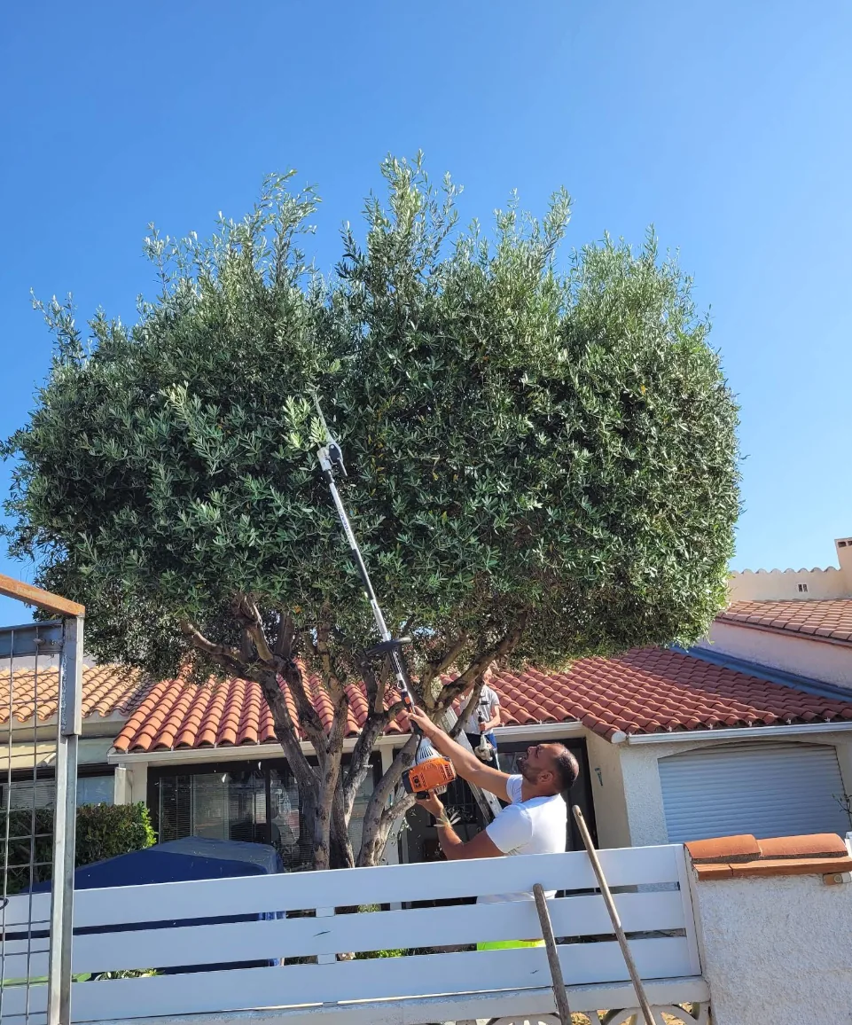 Personne taillant un arbre près d’un portail